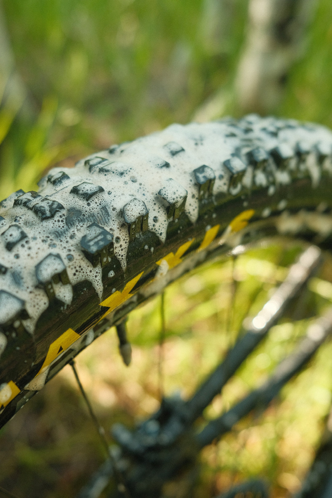 Revive All + Revive Degreaser - My Store