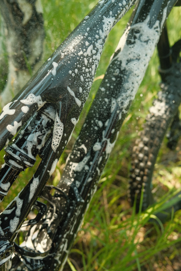 Revive All - My Store