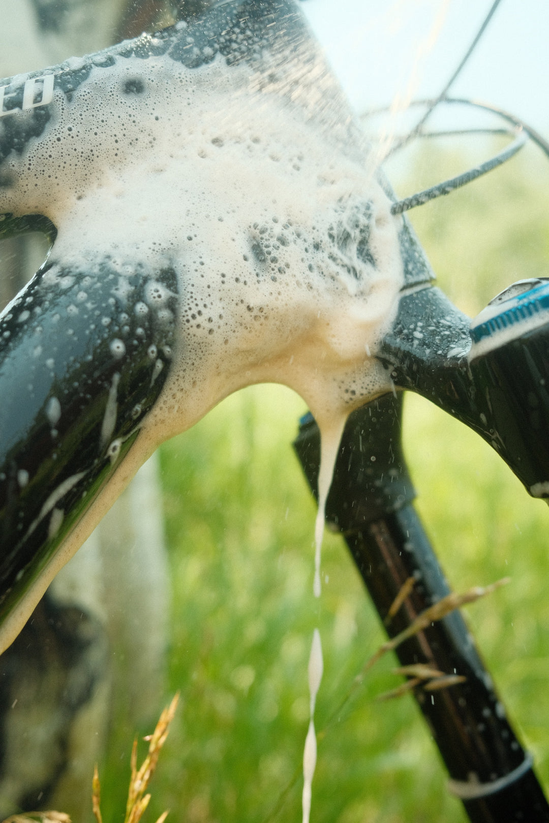 Revive All - My Store